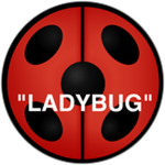 Completed Miraculous Ladybug Quiz!