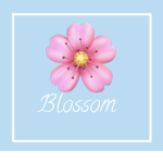Blossom Japanise Resturant
