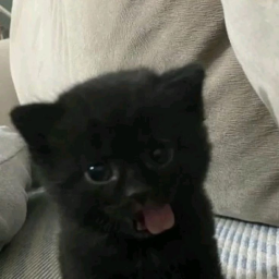 !!!
