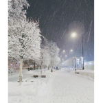 [Christmas Arena]