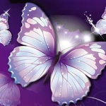 Butterflies From The 9