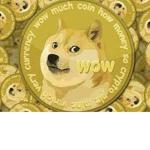 The doge coin club!