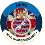 845 Naval Air Squаdron