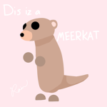 Meerkats for LIFE!