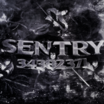 Sentry/
