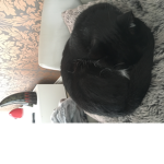 Expert Product Of Cats