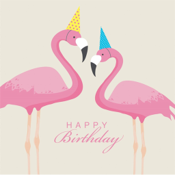 Happy Birthday Flamingo (albert)