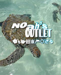 -| noah’s outlet |-