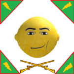 Regiments of GAL