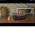 Sucky_Ducky