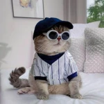 Gatitos Fashion Group Thumbnail
