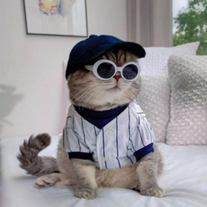 Gatitos Fashion Roblox group icon