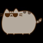 Team gato.oficial