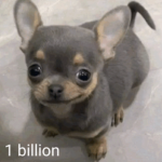 1 billion