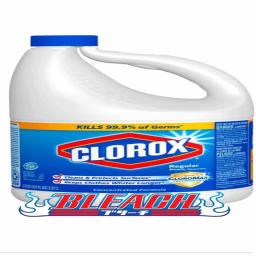 drink bleach