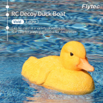 Crown duck