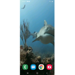 The group of sharks.