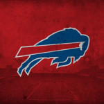 buffalo bulls