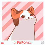 小臉POP貓貓