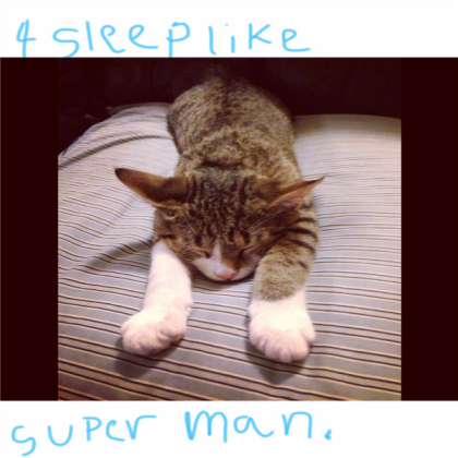 Cat Roblox decal