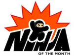 DIVISION 99  STEALTH NINJA'S