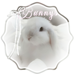 /bunnys [payouts]