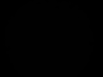 검은고양이조직