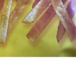 Poteto sticks group