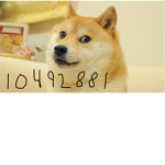 Doge only gang
