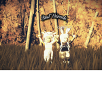 _bunnys_
