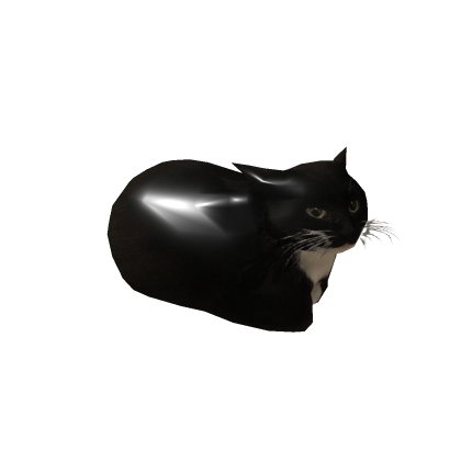 shiny maxwell