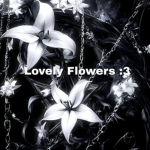Lovely flowers :3