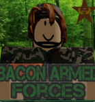 military bacon forces