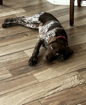 Team_Cocoa_gsp