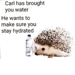 persigmahaps