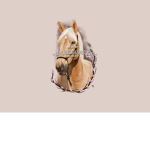 CA Riding Academy