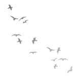 FLOCKWORKS