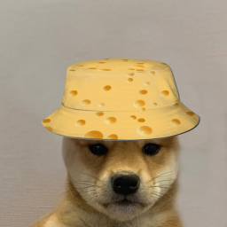 cheese museum