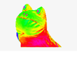 .Karen.