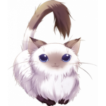 Chat chocolate