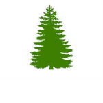 Conference of Robloxian Forestry