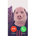 John porkadie porkies