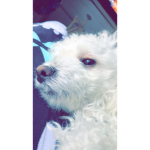 SunnyAriana