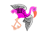 Flying Flamingo Studios