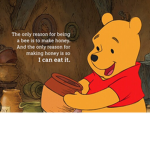 The Adventurous Animals