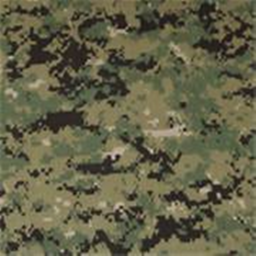 Fort "Camden" US ARMY