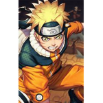 NARUTO_FAN_PLACE