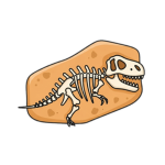 Fossils Development