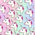 Lillys Clothing