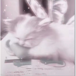 LXVESEND
